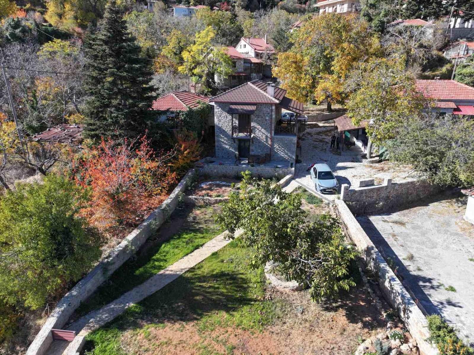 Вілла Νόστος Ано-Трікала Екстер'єр фото